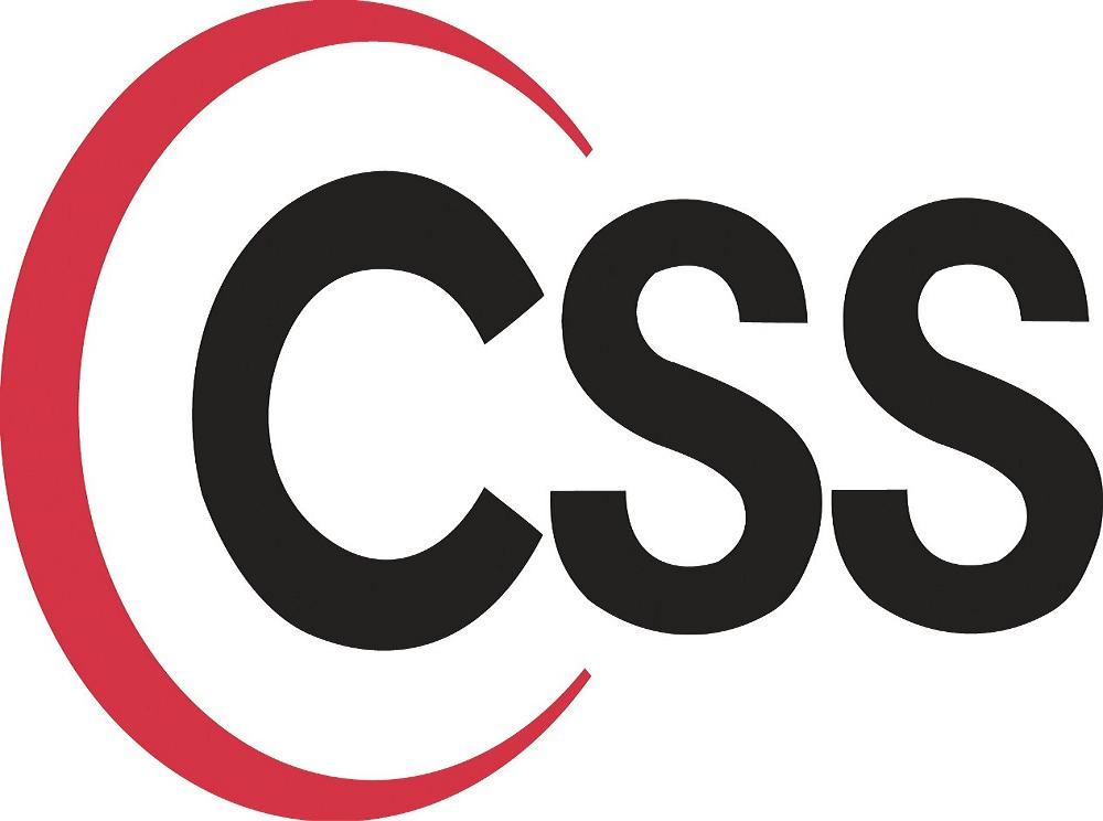 CSS Logo
